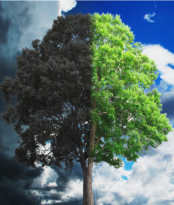 Ese dios que no es Dios